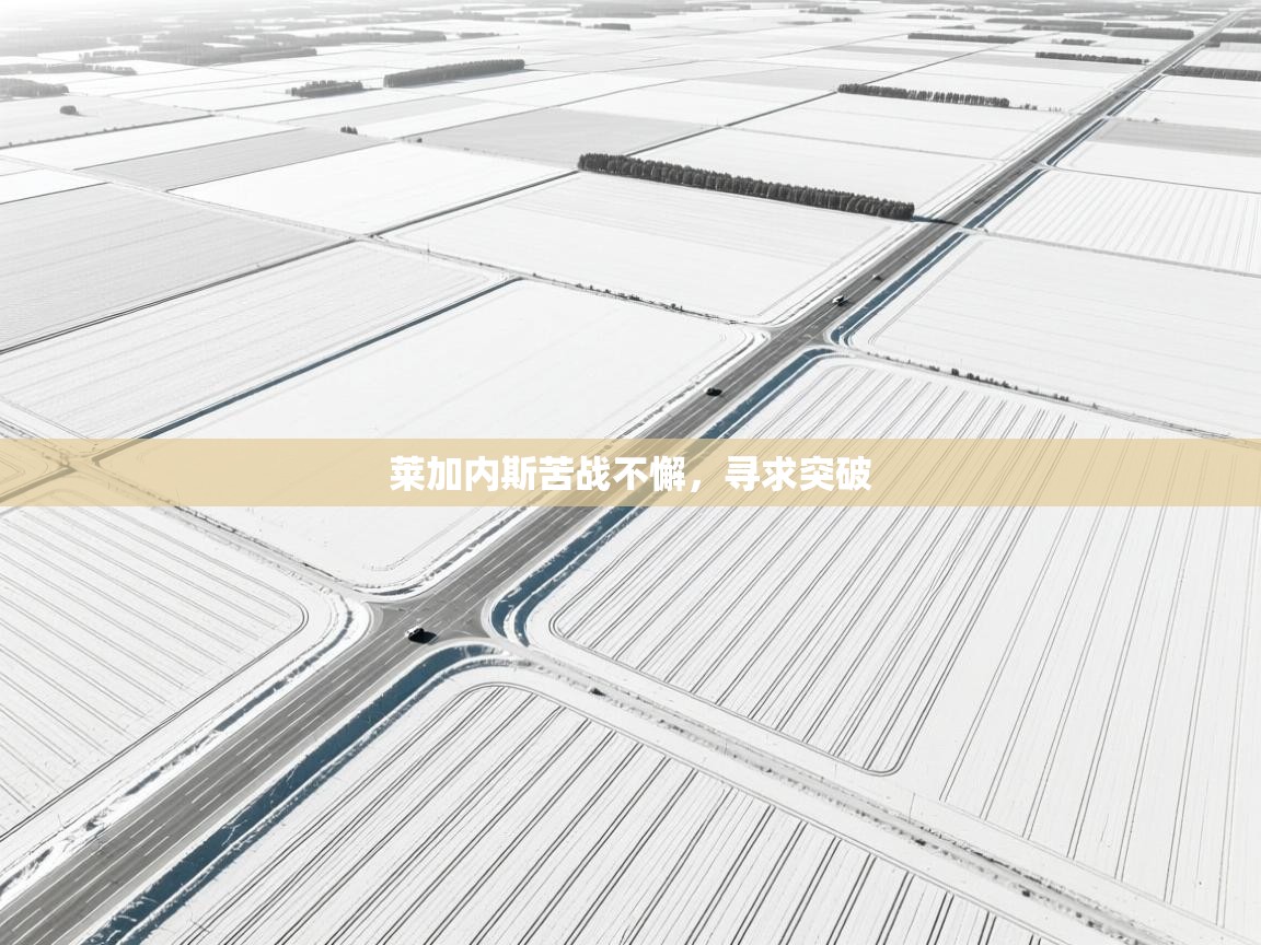 莱加内斯苦战不懈，寻求突破  第2张