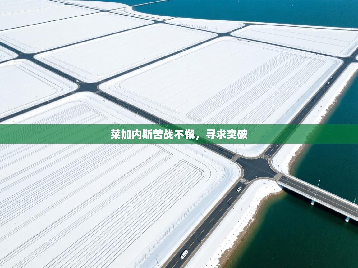 莱加内斯苦战不懈，寻求突破  第1张