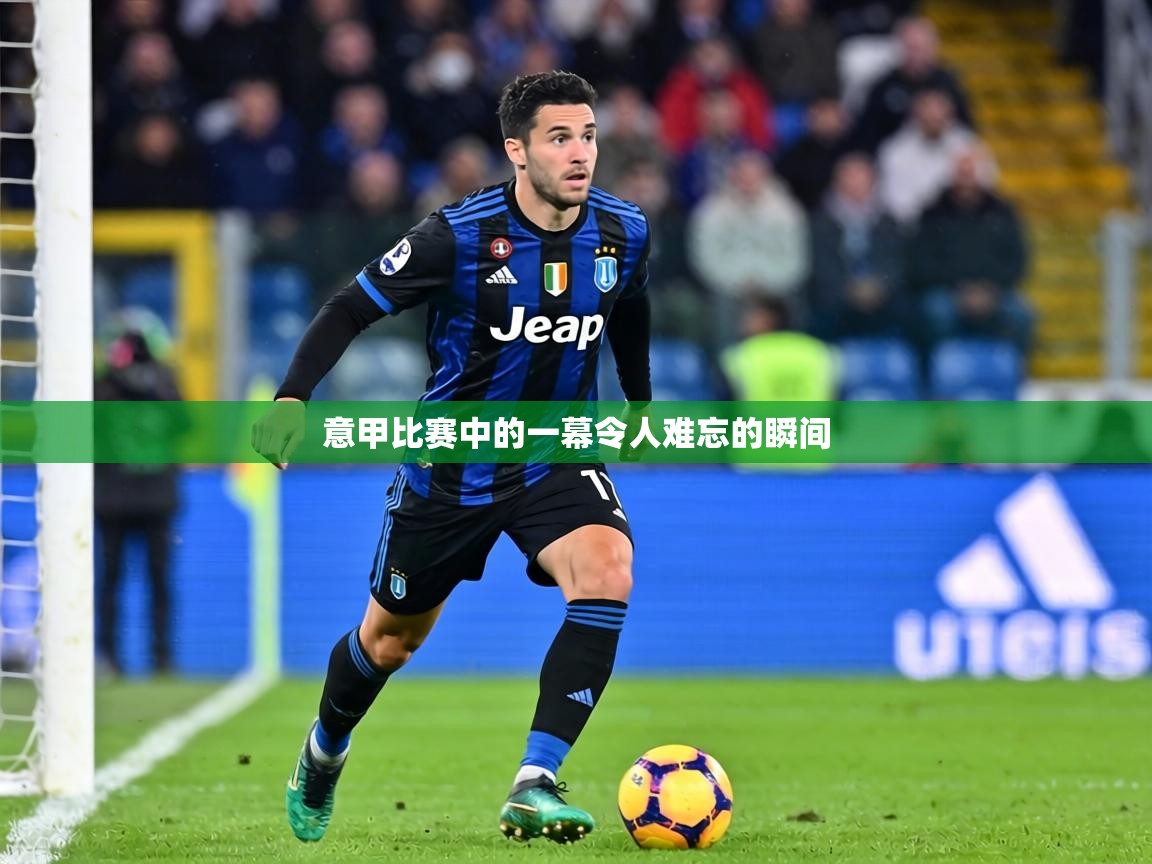 意甲比赛中的一幕令人难忘的瞬间 第1张