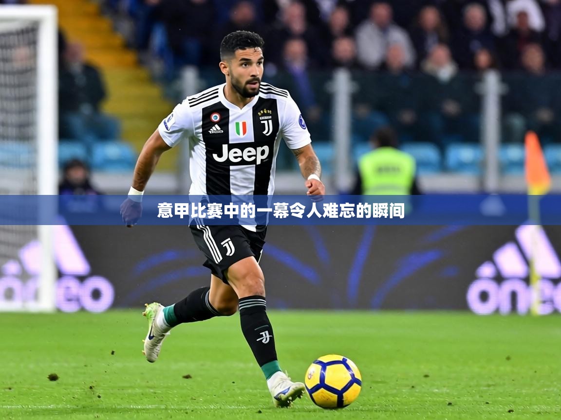 意甲比赛中的一幕令人难忘的瞬间 第2张