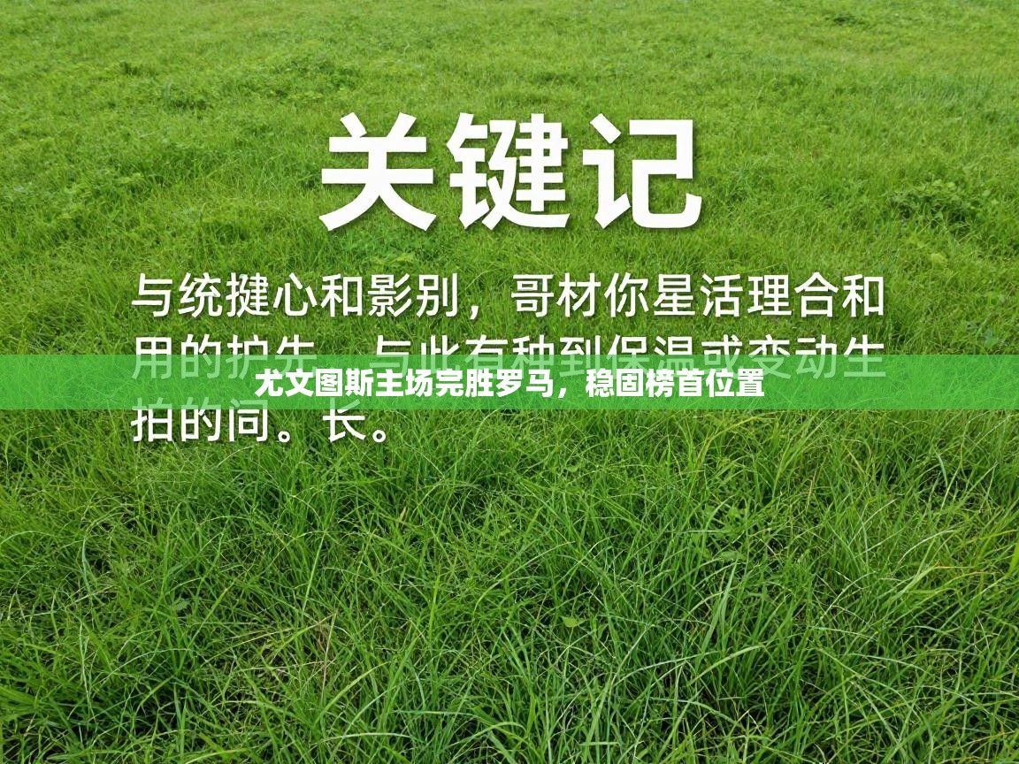 尤文图斯主场完胜罗马,稳固榜首位置 第1张